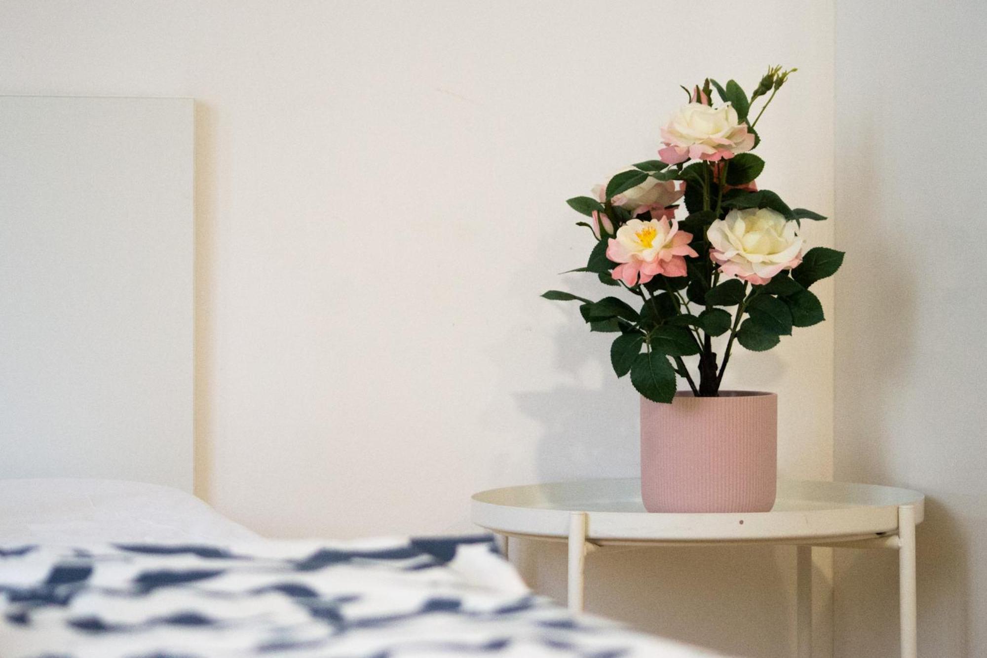 Apartman Vlna Leilighet Brno Eksteriør bilde